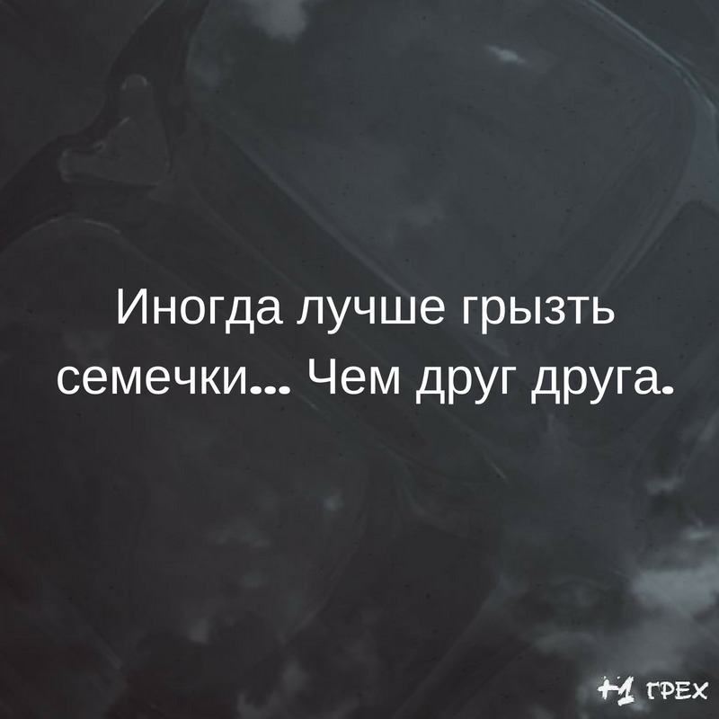 Иногда лучше грызть семечки Чем друг друга
