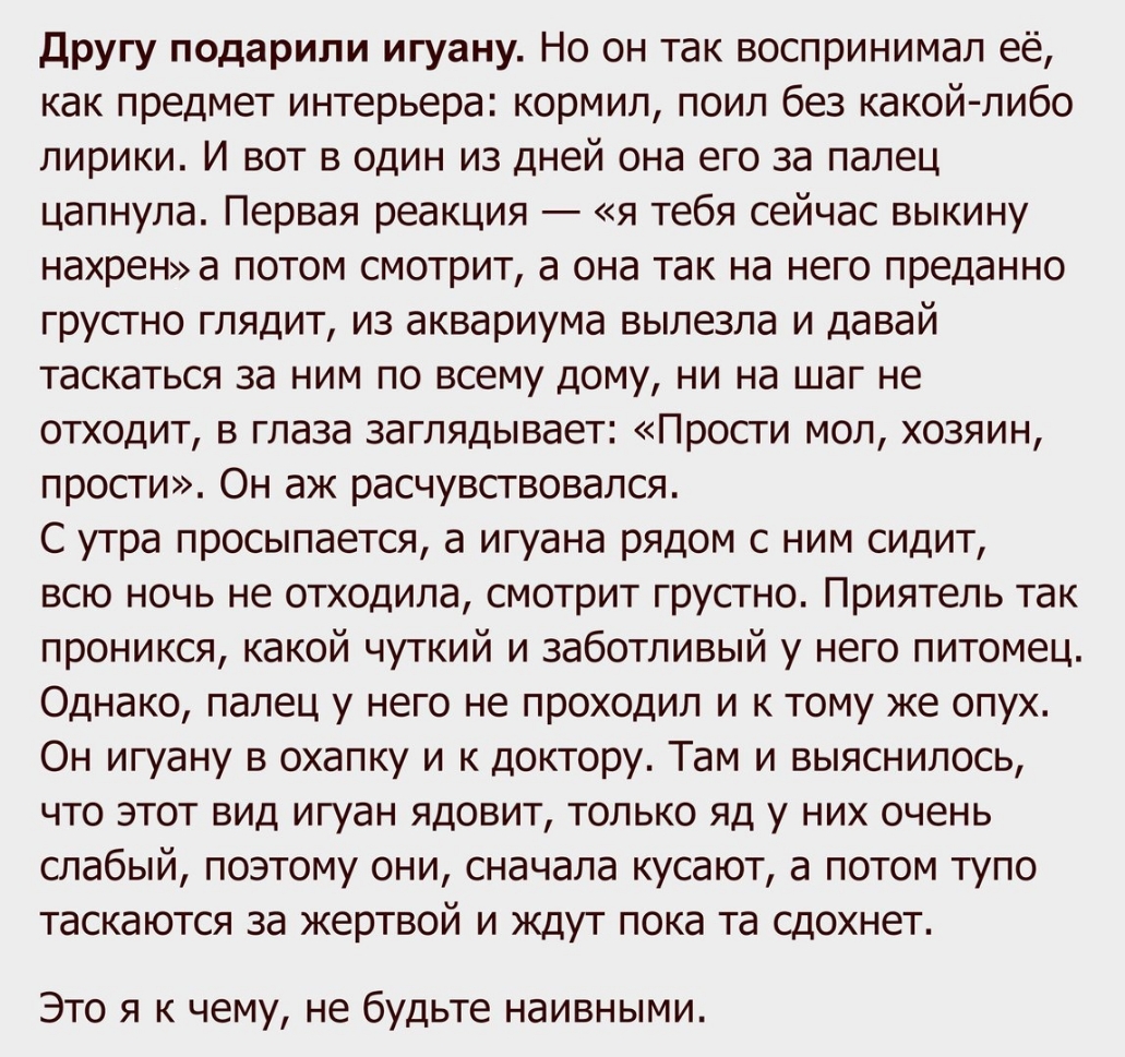 другу подарили игуану Но он так воспринимал её как предмет интерьера кормил поил без какой либо лирики И вот в один из дней она его за палец цапнула Первая реакция я тебя сейчас выкину нахрена потом смотрит а она так на него преданно грусгно глядит из аквариума вылезла и давай таскаться за ним по всему дому ни на шаг не отходит в глаза заглядывает Прости мол хозяин прости Он аж расчувсгвовался С у