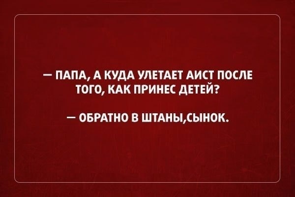 ПАПА А КУДА УЛЕТАЕТ АИ_ ПОСЛЕ ТОГО КАК ПРИНЕС дЕТЕИ ОБРАТНО В ШТАНЫСЫНОК