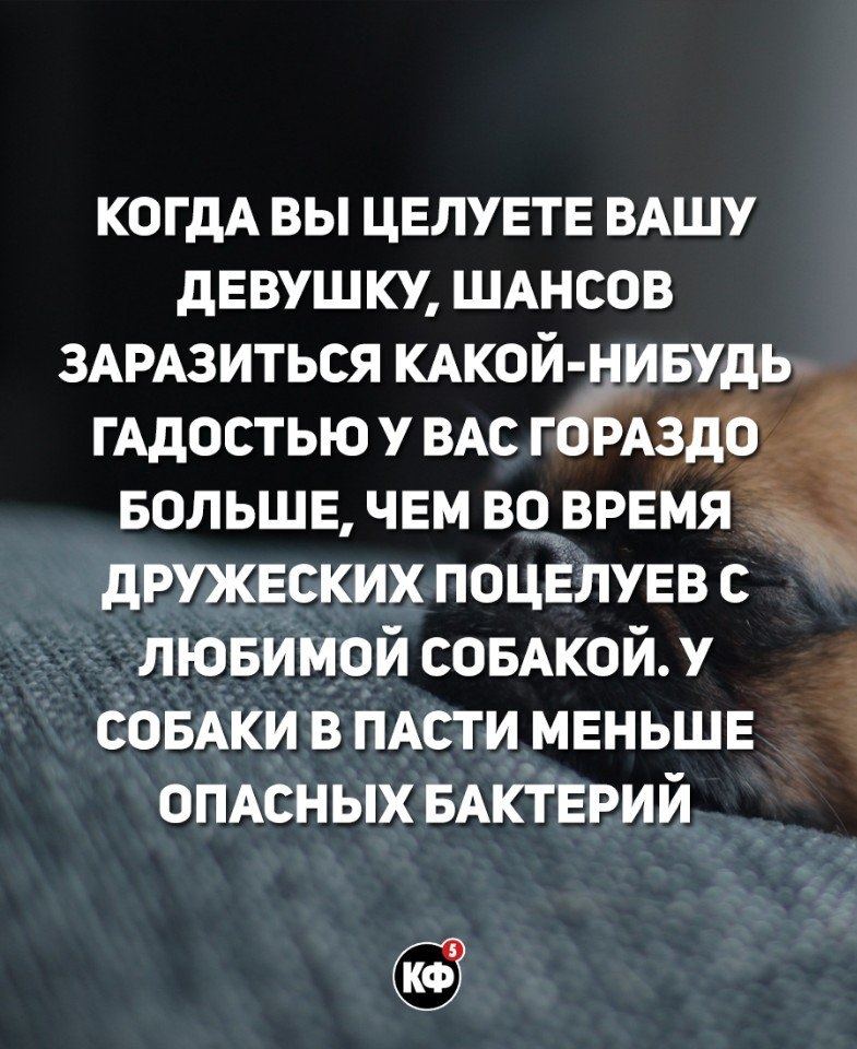КОГДА вы цвлувтв ВАШУ дЕвушку шднсов ЗАРАЗИТЬСЯ КАКОЙ ивудь гАдостью у ВАс г РАздб вольшв чем вощвремя дружеских поцвлувв с _ _лювиМой совжойм сОБАкив ПАСТИ мвньшв ОПАСНЫХ БАКТЕРИЙ
