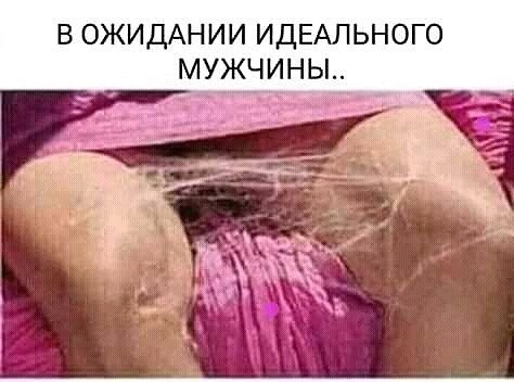 В ОЖИДАНИИ ИДЕАЛЬНОГО МУЖЧИНЫ