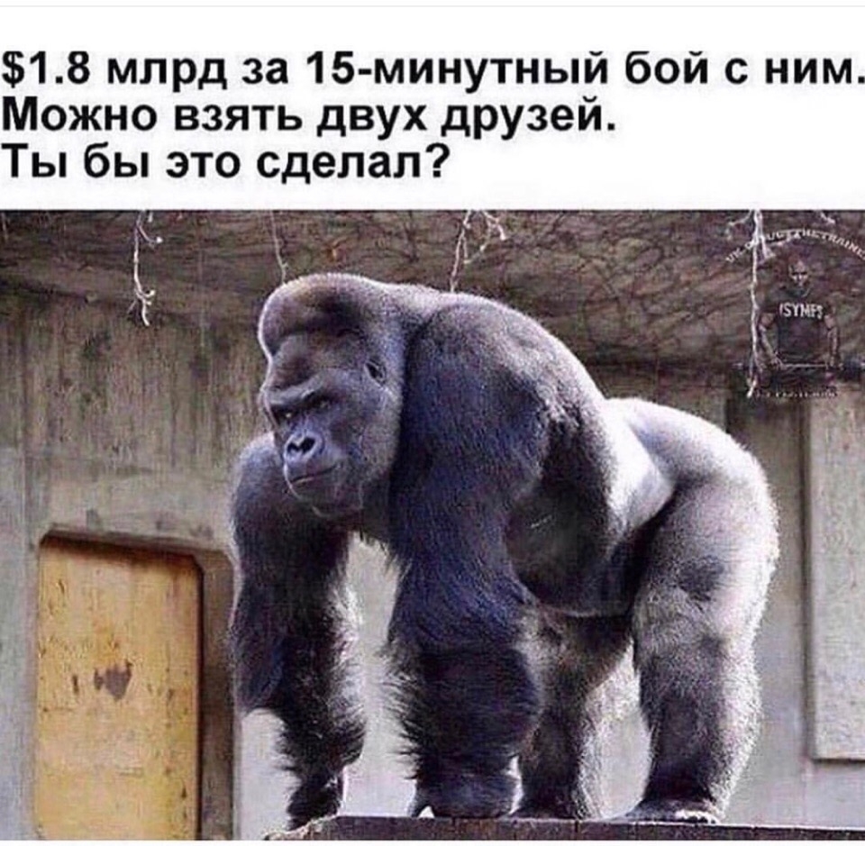 518 млрд за 15 минутный бой с ним Можно взять двух друзей Ты бы это сделал