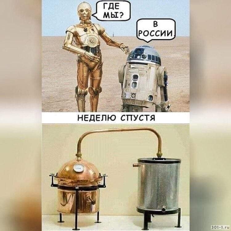 мы