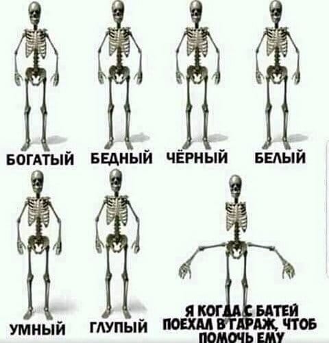 УМНЫЙ ГАУПЫЙ И МЫШЬ ШУ