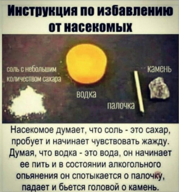 ПШПШЩИП по избавлению П насекомых соль небольшим КЗМСНЬ КПЛИЧВЩВОМ 08 ВОДКЗ палочка Насекомое думает что сопь это сахар пробует и начинает чувствовать жажду Думая что водка это вода он начинает ее пить и в состоянии алкогольного опьянения он спотыкается о папочку _ает и бьется головой о камень