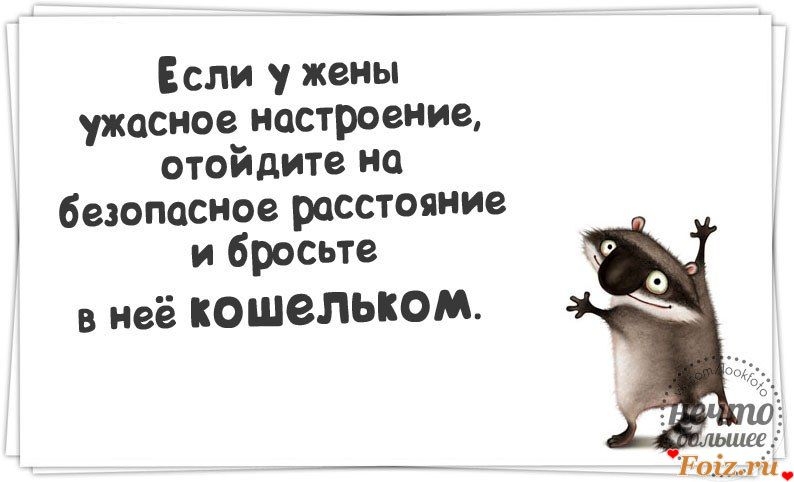 Если у жены ужасное настроение отойдите на безопасное расстояние и бросьте в неё КОШЗЛЬКОМ