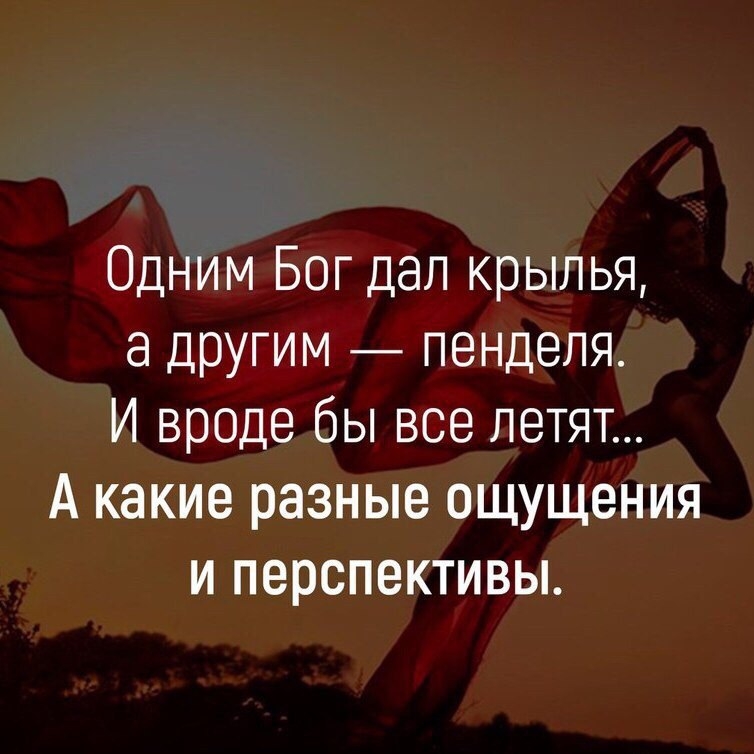 Одним Бог дал крылья другим пенделя И вроде бы все летят А какие разные ощущения и перспективы