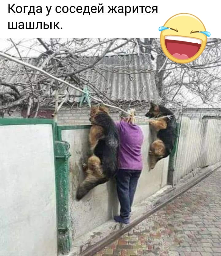 Когда у соседей жарится шашлык