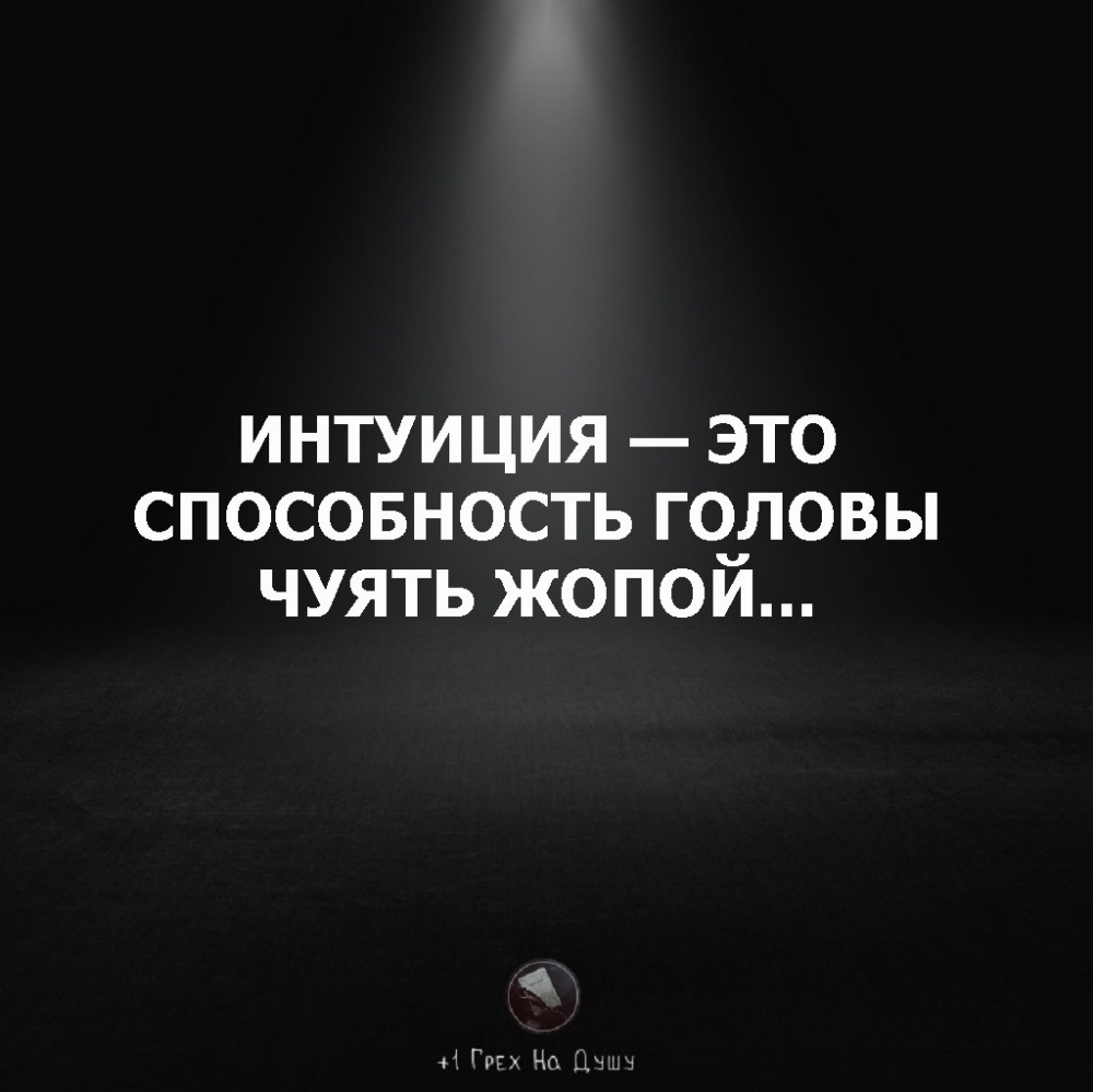 ИНТУИЦИЯ ЭТО СПОСОБНОСТЬ ГОЛОВЫ ЧУЯТЬ ЖОПОИ