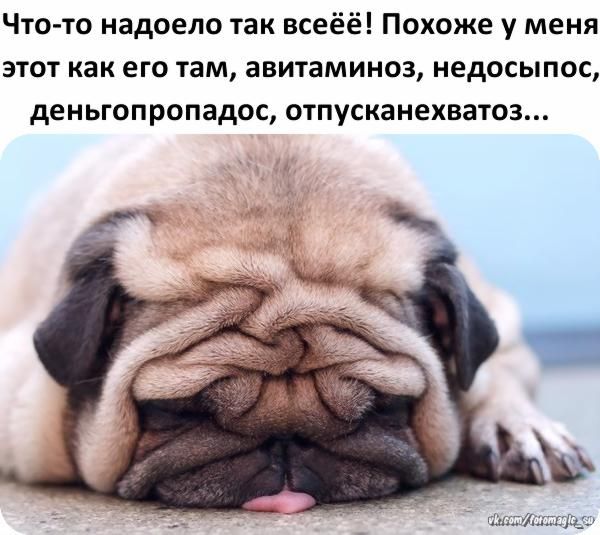 Что то надоело так всеёё Похоже у меня этот как его там авитаминоз недосыпос деньгопропадос отпусканехватоз