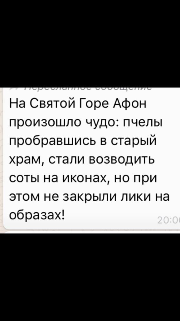На Святой Горе Афон произошло чудо пчелы пробравшись в старый храм стали возводить соты на иконах но при этом не закрыли лики на образах