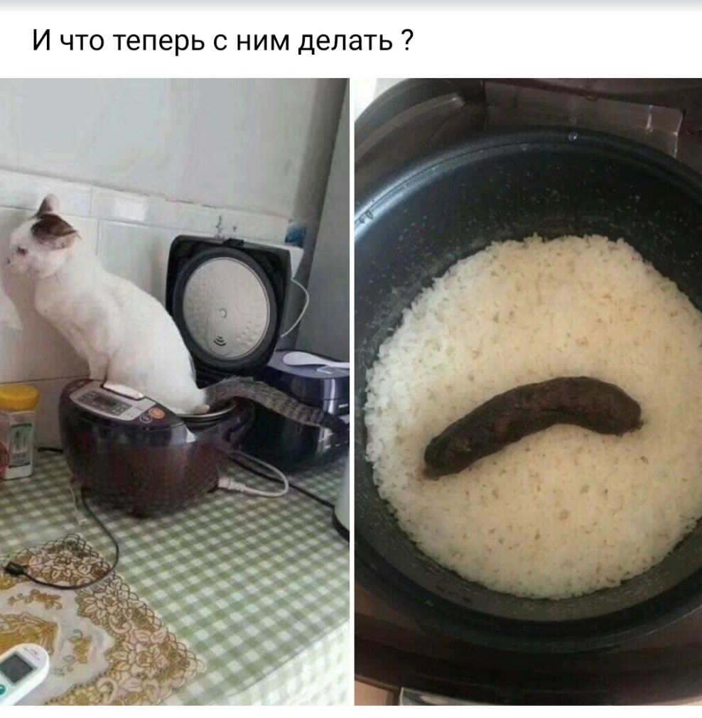 Ь Т Э Л 6 д М И Н С Ь 0
