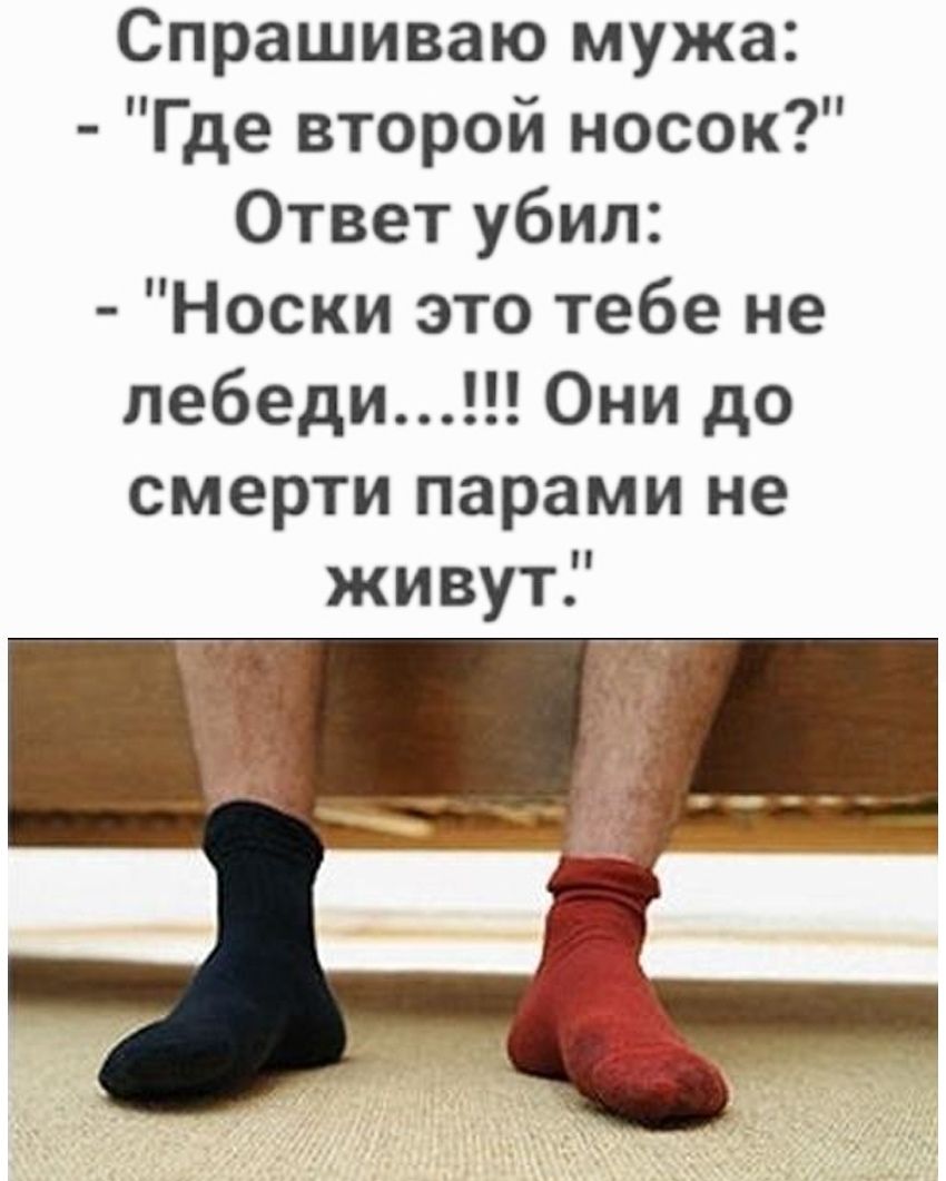 Спрашиваю мужа Г де второй носок Ответ убил Носки это тебе не пебеди Они до смерти парами не живут