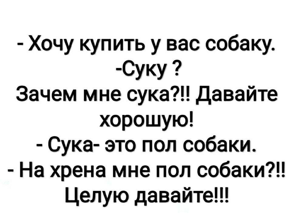 Хочу купить у вас собаку Суку Зачем мне сука Давайте хорошую Сука это пол собаки На хрена мне пол собаки Целую давайте