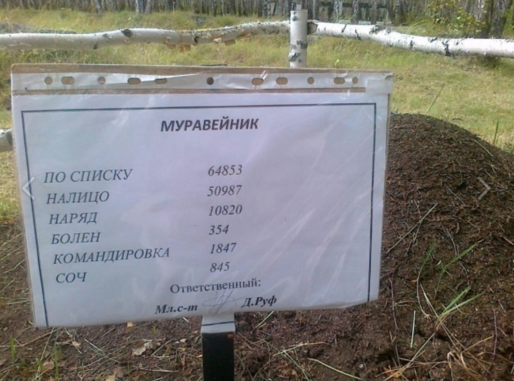 МУРАВЕЙНИК ПО НПС 64853 НАЦИИ 5095 НАРЯД 10820 БПЦ 354 КО НДПРОНК 1847 84 5 01 пстс вены О Ч