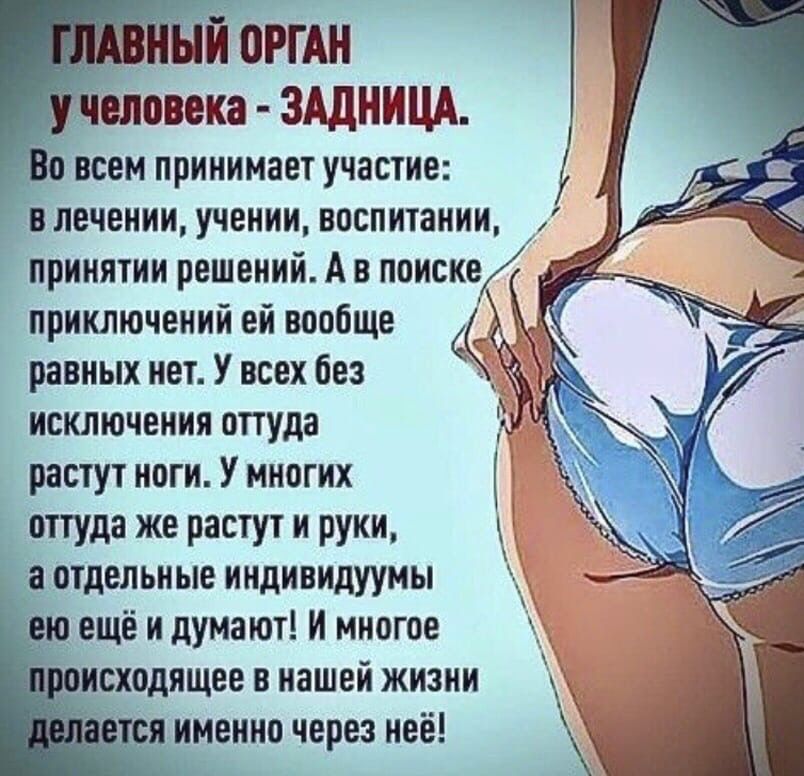 ЙОРГАН _неловека ЗАДНИЦА о всем принимает участие _в лечении учении воспитании _ принятии решений А в поиске приключений ей вообще равных нет У всех без исключения оттуда растут ноги У многих оттуда же растут и руки аотдельные индивидуумы И ещё и думают И многое оисходящее в нашей жизни именно через неё