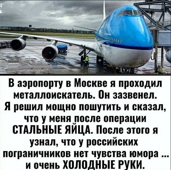 металлоискатель Он зазвенел Я решил мощно пошутить и сказал что у меня после операции СТАЛЬНЫЕ ЯИЦА После этого я узнал что у российских пограничников нет чувства юмора и очень Х0Л0ДНЫЕ РУКИ