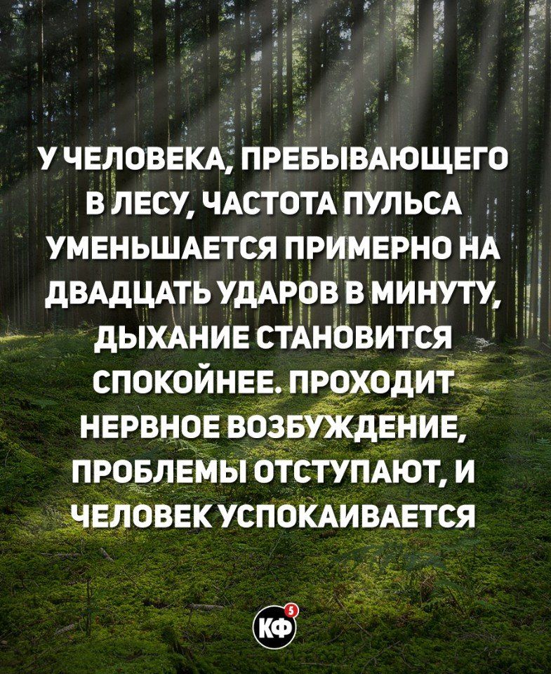 у ЧЕАОВЕКАЗ ПРЕБЫВАЮЩЕГО в двсу ЧАстотАПУЛЬСА умвньшмгтся примнрнр нА дВАдцАть удАров в миі іуту И дыхАНИЕ сТАнбВиТця 5 с д СПОКОЙНЕЕ ПРОХОДИТА нервнов воздвнив провлемы бтсТУПАют и 351л5г_1авнк усп0АивАвтся