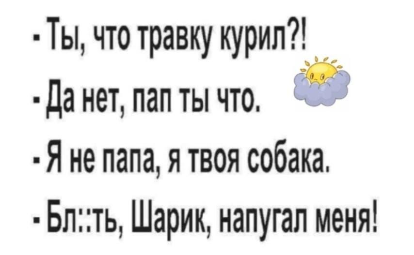 Ты что травку курил да нет пап ты что Я не папа я твоя собака Блть Шарик напугал меня