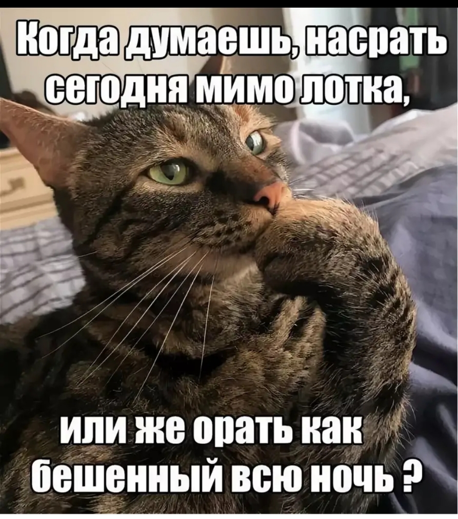 иди же опать нана іещднный всю ночь