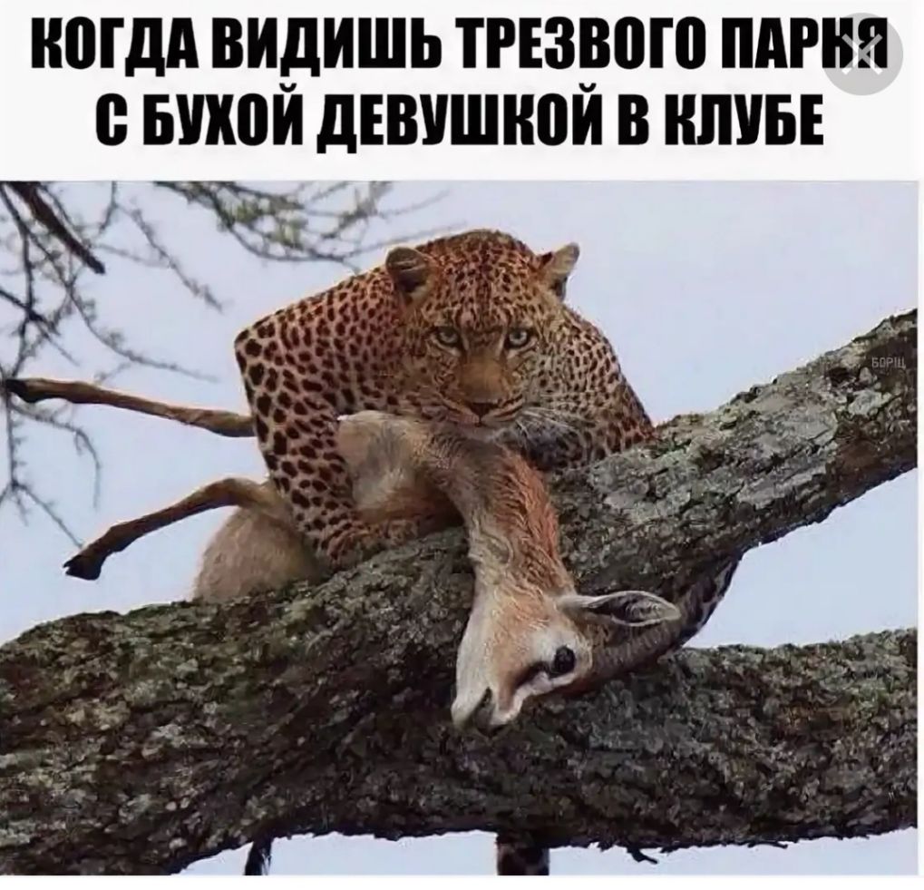 МДА ВИДИШЬ ТРЕЗРПШ 0 БШШИ дЕВУШіЮИ В КЛУБЕ __ц