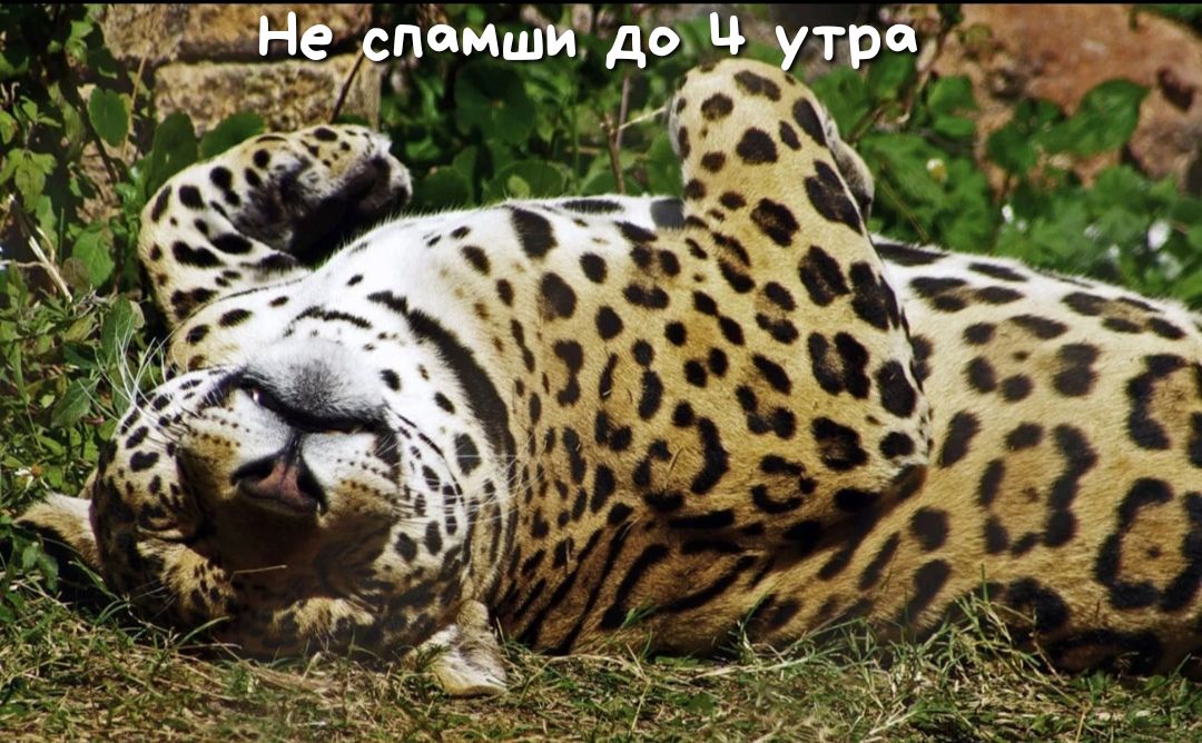 дремш до ц тра