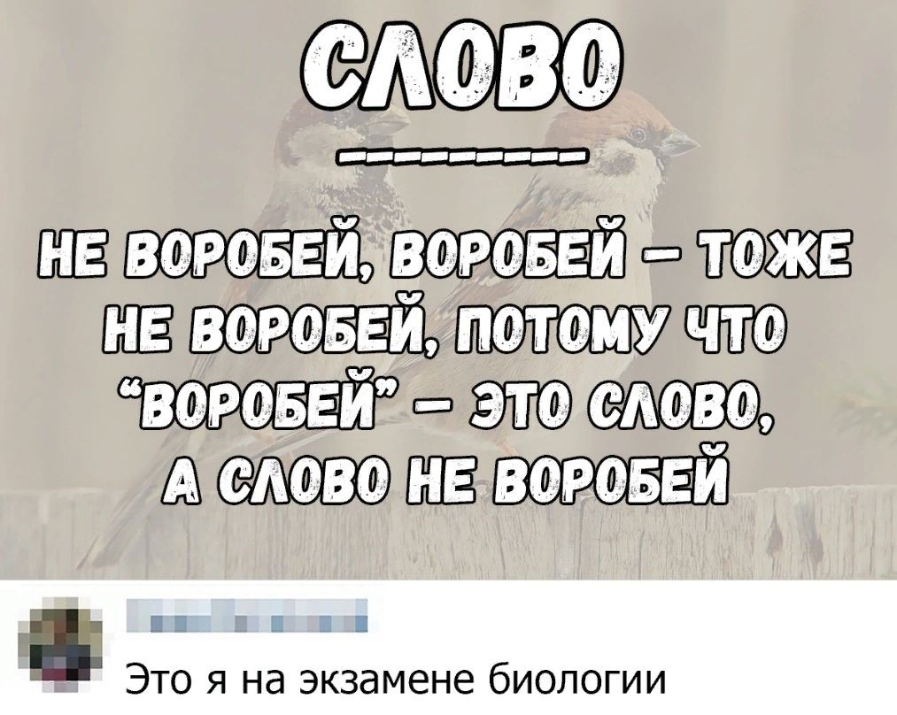 САФВФ да Это я на экзамене биологии