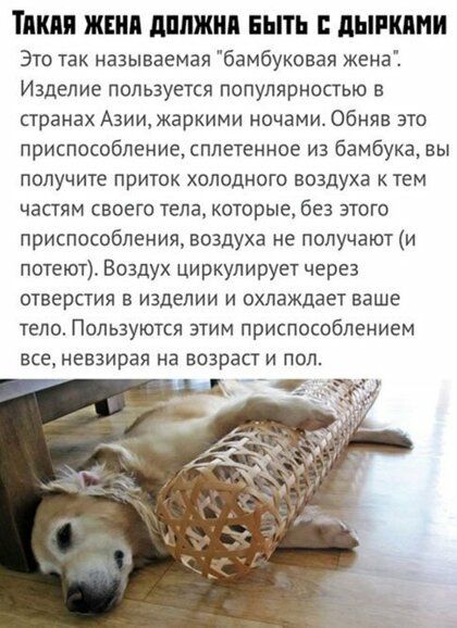 ТПКПЯ ЖЕНП дШіЖИП БЫТЬ дЫПКПИИ Это так называемая бамбуковая жена Изделие пользуется популярностью в странах Азии жаркими ночами Обняв это приспособление сплетенное из бамбука вы получите приток холодного воздуха к тем частям своего тела которые без этого приспособления воздуха не получают и потеют Воздух циркулирует через отверстия в изделии и охлаждает ваше тело Пользуются этим приспособлением в