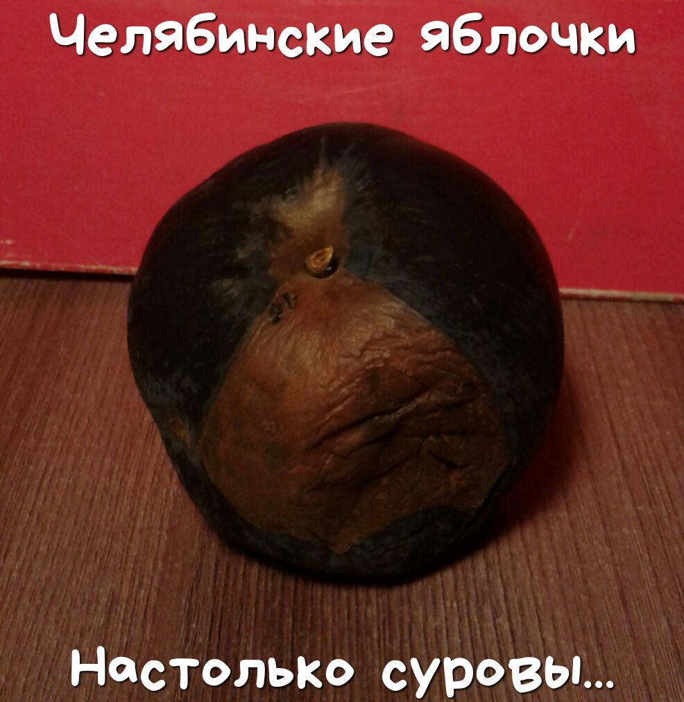 Челябинские яблочки Настолько суровы