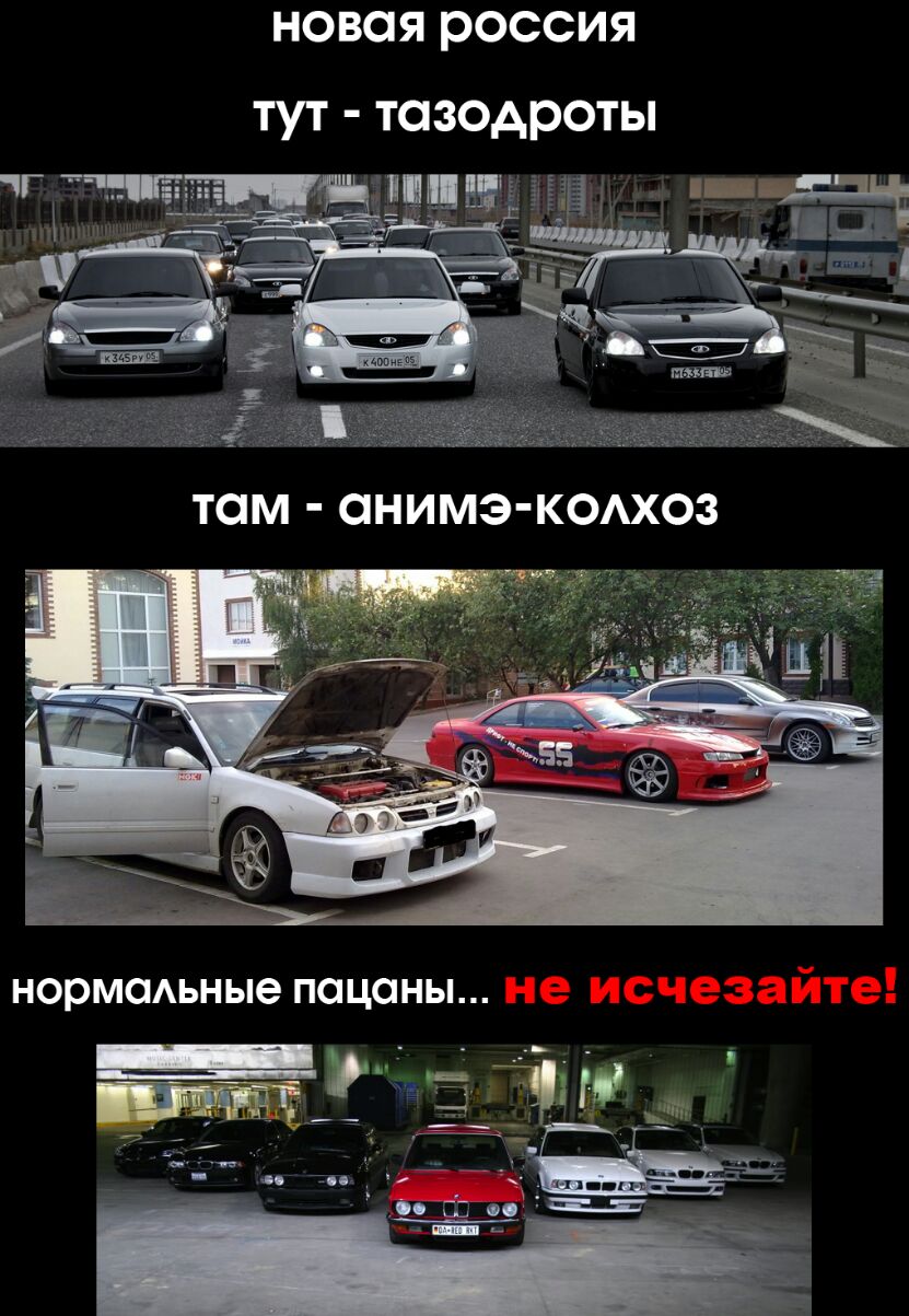 новая россия тут тазодроты