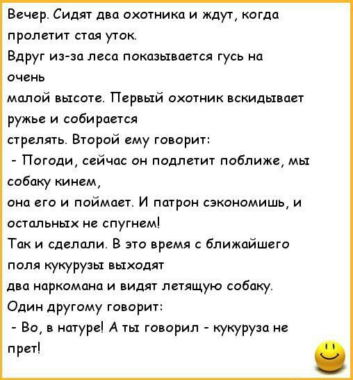 Вечер Сидят два охотника и ждут когда пролетит стая уток Вдруг из за леса показывается гусь на очень малой высоте Первый охотник вскидывает ружье и собирается стрелять Второй ему говорит Погоди сейчас он подлетит поближе мы собаку кинем она его и поймает И патрон сэкономишь и остальных не спугнем Так и сделали В это время с ближайшего поля кукурузы выходят два наркомана и видят летящую собаку Один