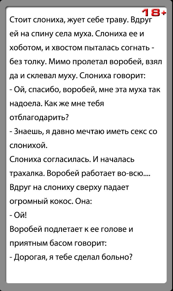 18 Стоит слониха жует себе траву Вдруг ей на спину села муха Слониха ее и хоботом и хвостом пыталась согнать без толку Мимо пропетап воробей взял да И склевал МУХУ Слониха ГОВОРИТ Ой спасибо воробей мне эта муха так надоела Как же мне тебя отблагодарить Знаешь я давно мечтаю иметь секс со слонихой Слониха согласилась И началась трахалка Воробей работает вовсю Вдруг на слониху сверху падает огромны