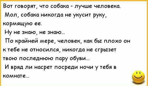 Вот говорят что собака лучше человека Мол собака никогда не укусит руку кормящую ее Ну не знаю не знаю По крайней мере человек как бы плохо он к тебе не относился никогда не сгрызет твою последнюю пару обуви И вряд ли насрет посреди ночи у тебя в комнате