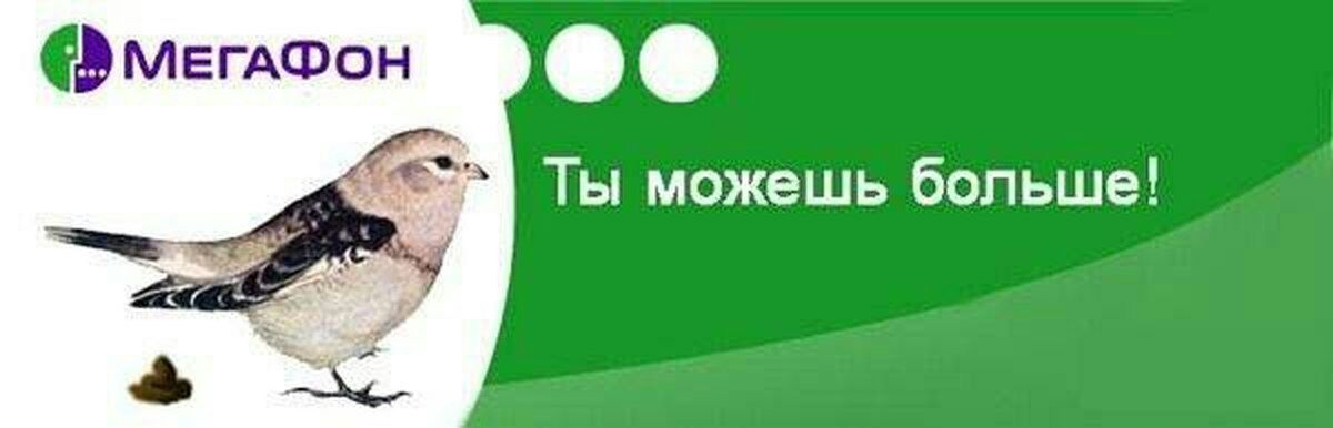 МЕГАФОН Ты можешь больше