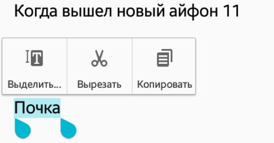 Когда вышел новый айфон 11 1 Выделить Вырезать Копировать Почка