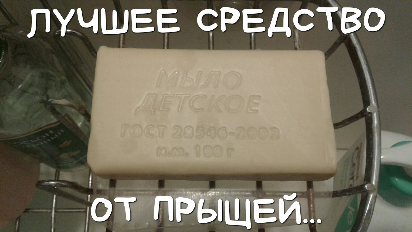 лучщев РздрТво