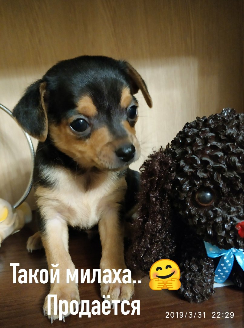 2019331 2229