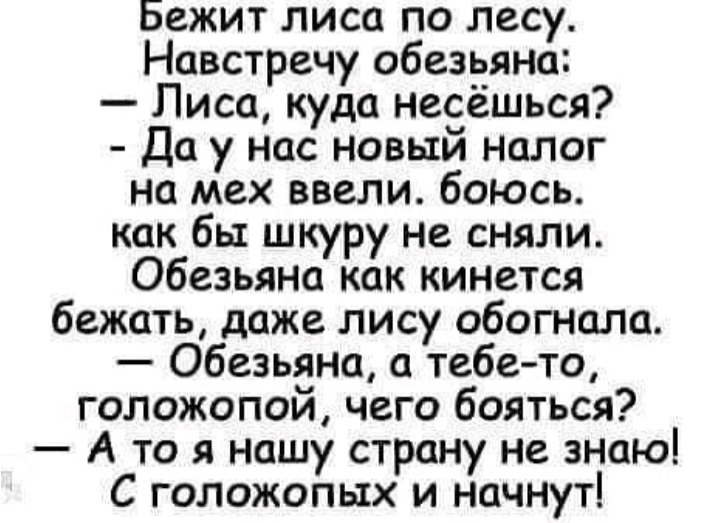 Бежит лиса по лесу Навстречу обезьяна Лиса куда несёшься Да у нас новый налог на мех ввели боюсь как бы шкуру не сняли Обезьяна как кинется бежать даже лису обогнала Обезьяна а тебе то голожопой чего бояться А то я нашу страну не знаю С голожопых и начнут