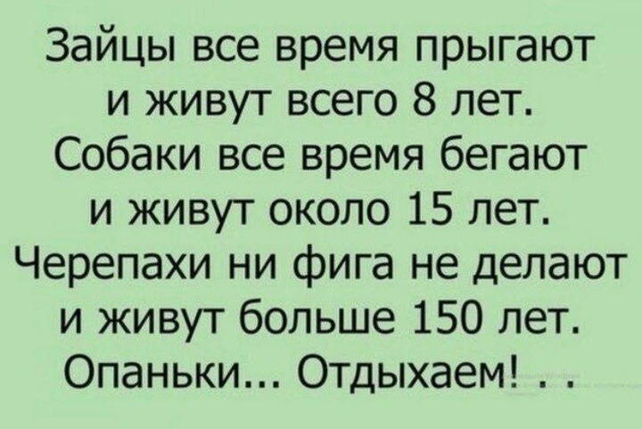 Зайцы все время прыгают и живут всего 8 лет Собаки все время бегают и живут около 15 лет Черепахи ни фига не делают и живут больше 150 лет Опаньки Отдыхаем