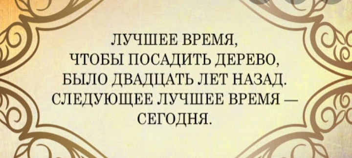 ЛУЧШЕЕ ВРЕМЯ ЧТОБЫ ПОСАДИГЬ ДЕРЕВО БЫЛО ДВАДЦАТЬ ЛЕТ НАЗАД СЛЕДУЮЩЕЕ ЛУЧШЕЕ ВРЕМЯ СЕГОДНЯ