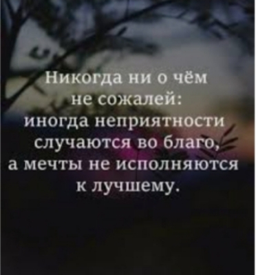 случаю веб _ а мечты не и олияются к лучшему