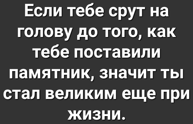 Если тебе срут на голову до того как тебе поставили памятник значит ты стал великим еще при жизни