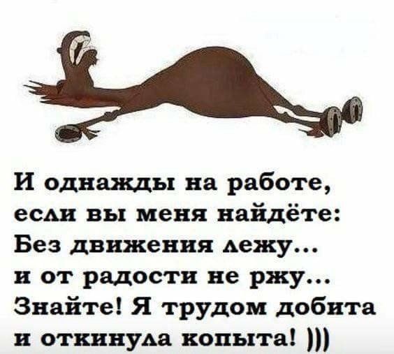 И однажды на работе есш вы меня найдёте Без движения дежу и от радости не ржу Знайте Я трудом добнта н откинуьа копыта