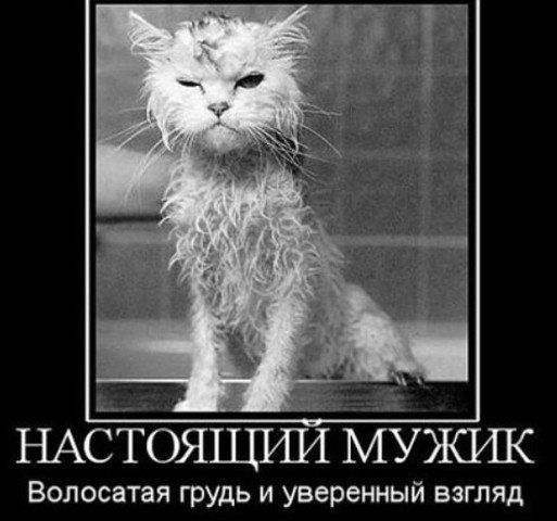 НАСТОЯПЛШ МУЖШС Волосатая грудь и уверенный взгляд
