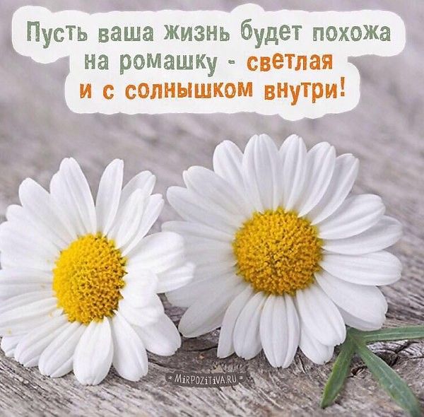 Пусть ваша жизнь будет похежа на рвмашкУ светлая и с солнышком впутри