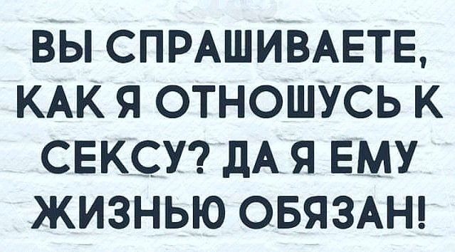 ВЫ СПРАШИВАЕТЕ КАК Я ОТНОШУСЬ К СЕКСУ дАЯ ЕМУ ЖИЗНЬЮ ОБЯЗАН
