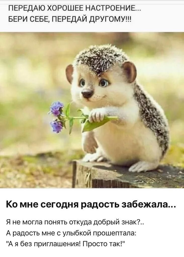 ПЕРЕДАЮ ХОРОШЕЕ НАСТРОЕНИЕ БЕРИ СЕБЕ ПЕРЕДАЙ ДРУГОМУ Ко мне сегодня радость забежала Я не могла понять откуда добрый знак А радость мне с улыбкой прошептала А я без приглашения Просто так