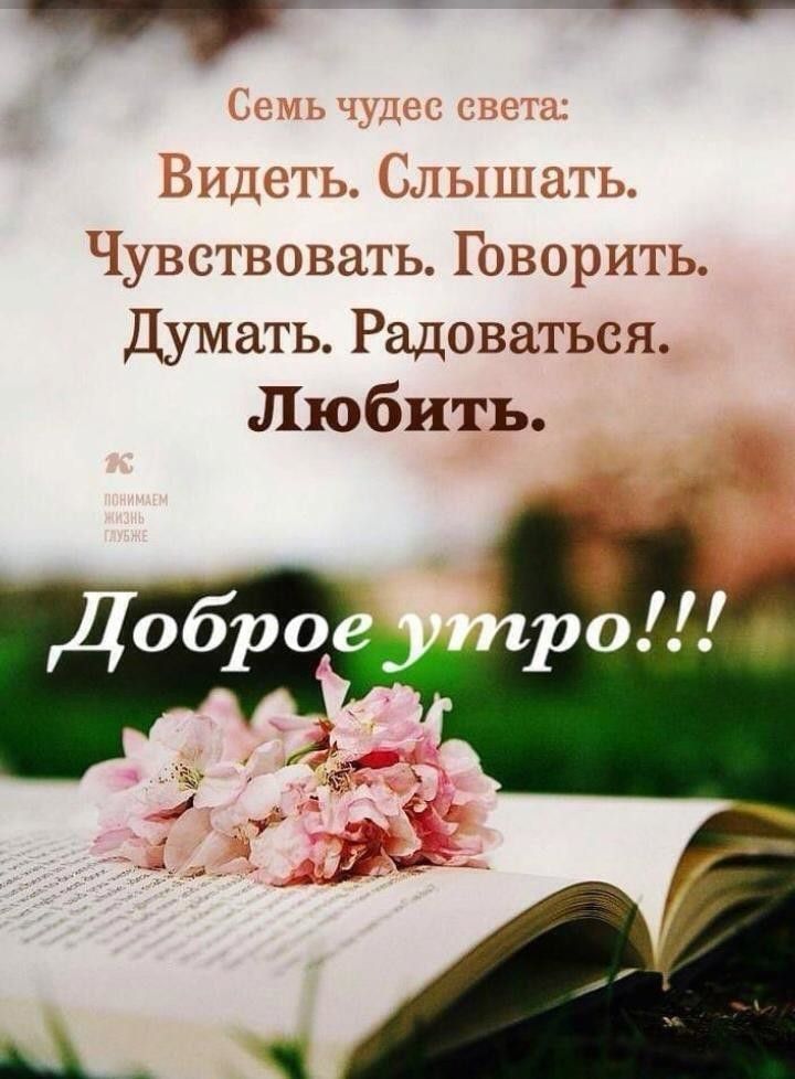 ___ Чувствовать Говорить Думать Радоваться Любить