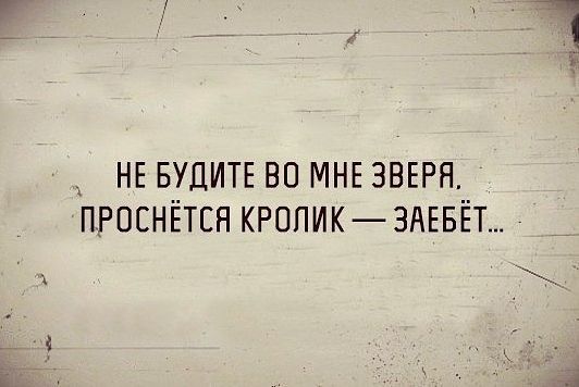 _ НЕ БУДИТЕ во МНЕ зввря проснётся кропик ЗАЕБЁТ