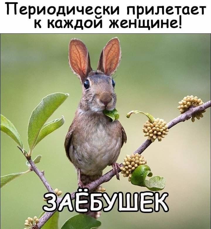 Периодичееки прилетает к каждои женщине
